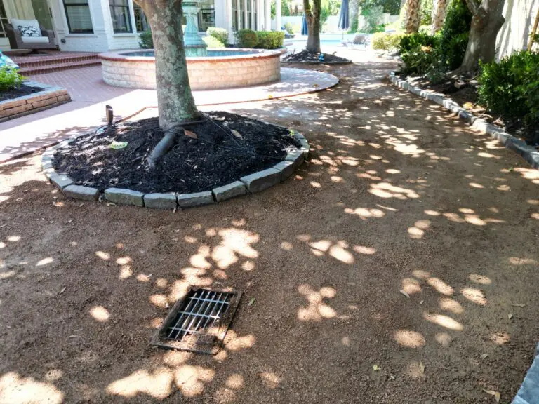 Prepared shaded-yard base with a drain inlet, mature trees and curved landscape borders before turf installation.