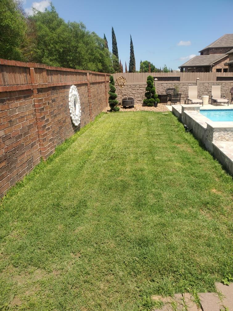 texas homeowners with dry grass